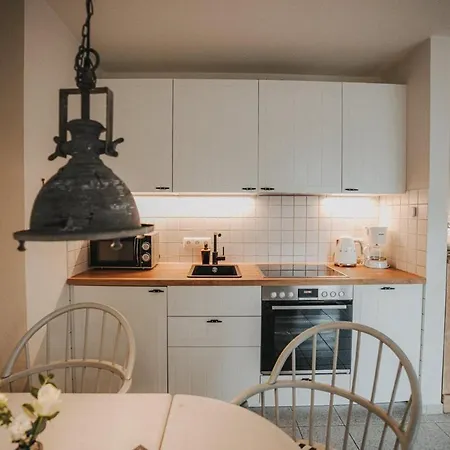 Friesenhus דנגסט